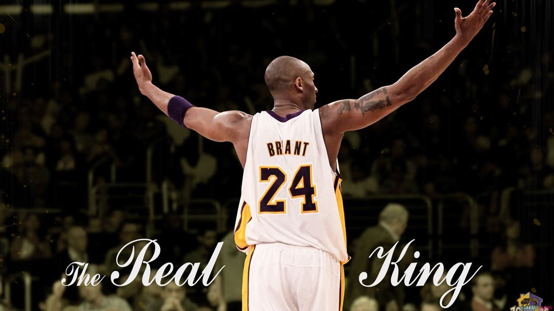 虽败犹荣!德罗赞总决赛单骑救主震惊联盟,快船团队篮球击碎孤胆英雄梦